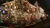 Dyker heights light tour and brooklyn bridge