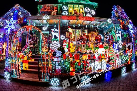 [Japanese Tour] Christmas Illumination Tour with Course Meals