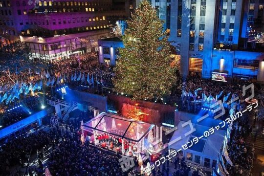 [Japanese Tour] Christmas Illumination Tour
