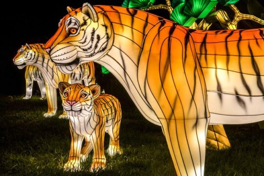 Bronx Zoo Holiday Lights Admission Ticket