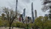 Amazing city tour!