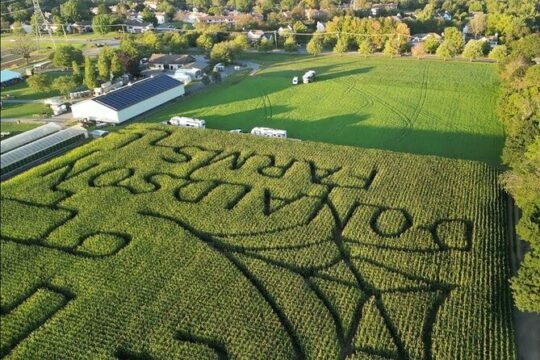 Happy Farm Picking and Playing Day Tour from New York