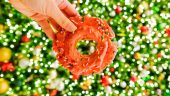 Fun Donut Tour