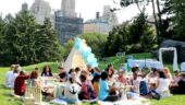 The Most Beautiful Proposal Picnic