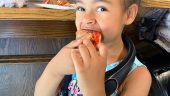 Amazing nyc pizza tour