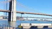 Walk across the Brooklyn Bridge for a great experience!