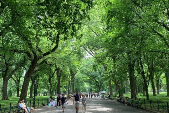 New York Central Park Private Pedicab Tours
