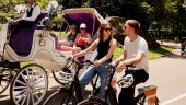 Knowledgable & fun guide, comfortable bikes - best way to see the City!!