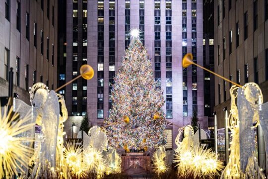 NYC Holiday Lights and Dyker Heights Luxury Bus Tour