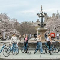 Multi-day Cruises