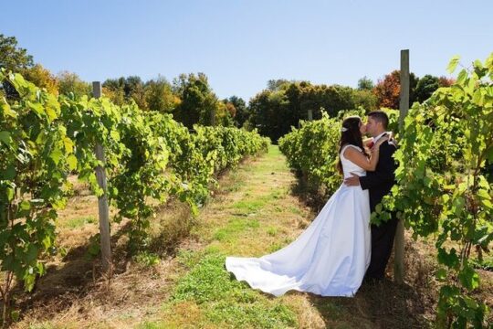 Wine Tour from New York to Hamptons