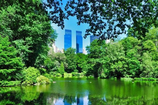 New York City Sensi Stone Mystery Self Guided Family Quest