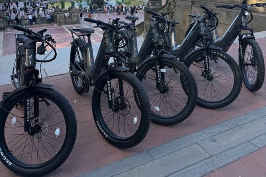 New York City Private Biking Experience