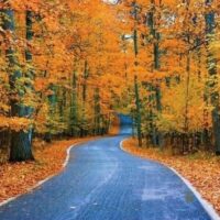 Holiday & Seasonal Tours