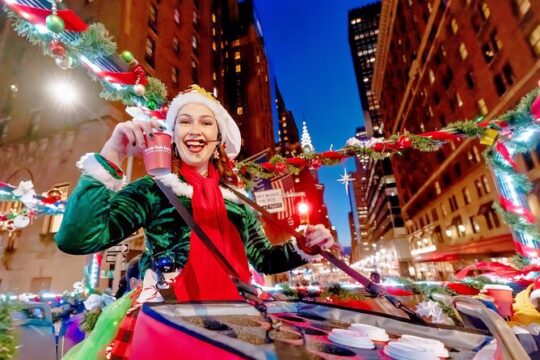 NYC Holiday Lights Sightseeing Bus Tour