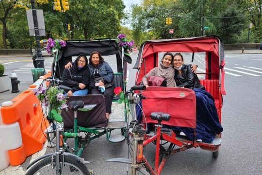 New York City Central Park Private Pedicab Tour