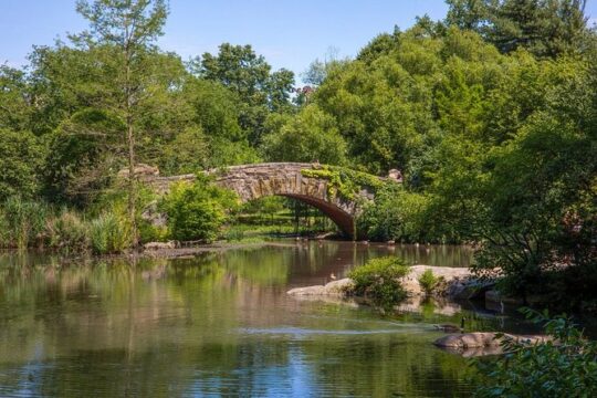 Official Who Built Central Park Walking Tour