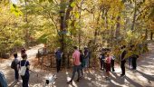 Up close and personal with the planning of Prospect Park