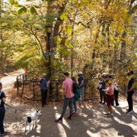 Eco Tours