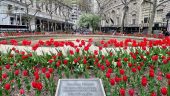 A Walk Up Broadway Tour